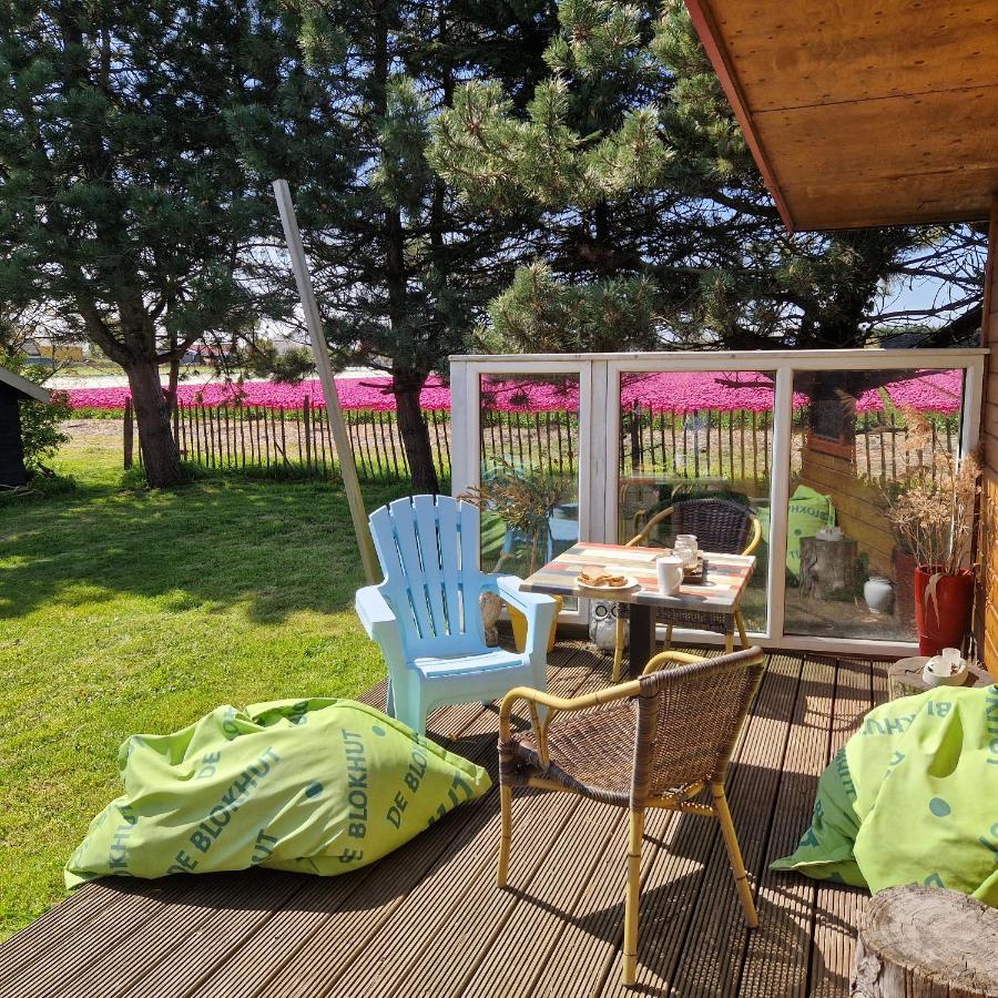 Villa Vrijstaande Blokhut à Egmond-Binnen Extérieur photo