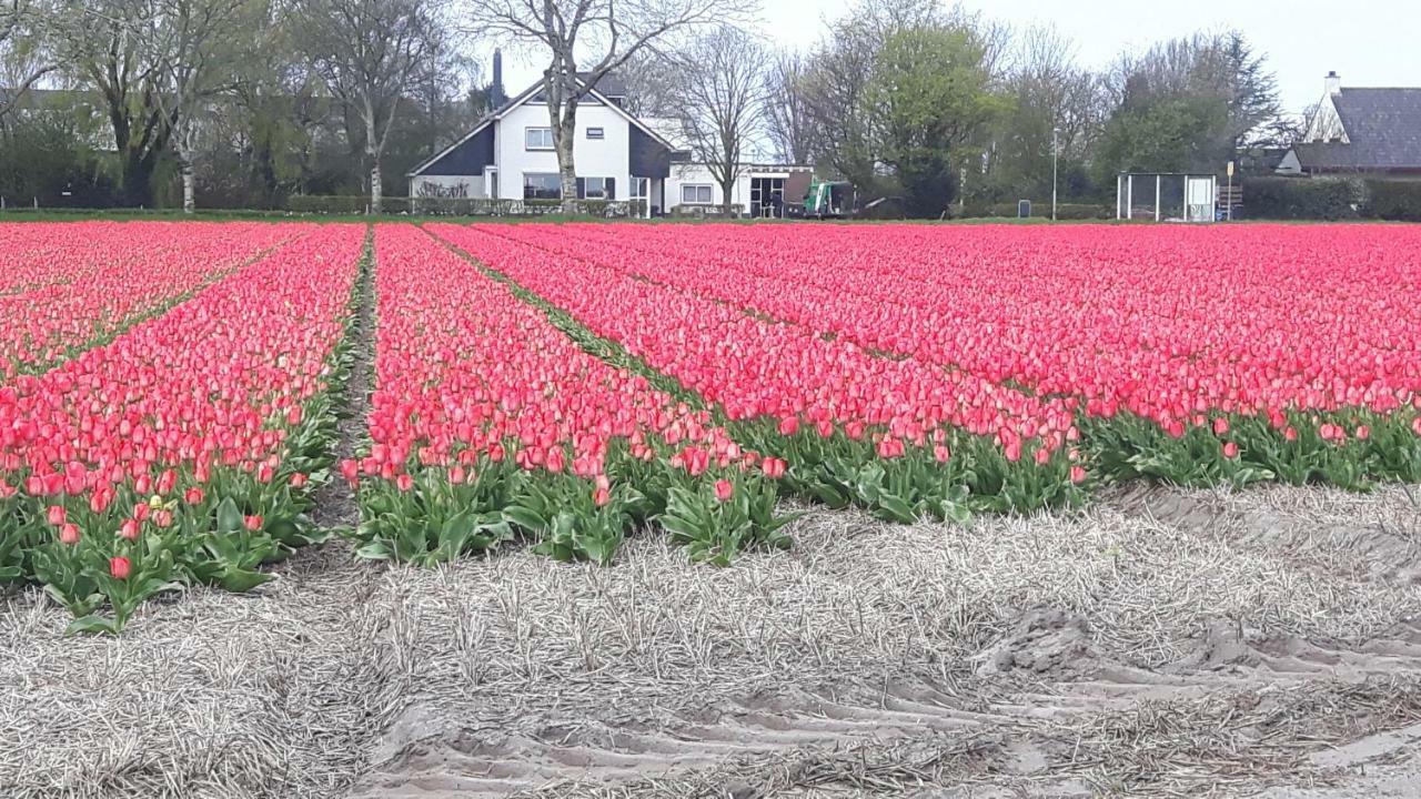 Villa Vrijstaande Blokhut à Egmond-Binnen Extérieur photo