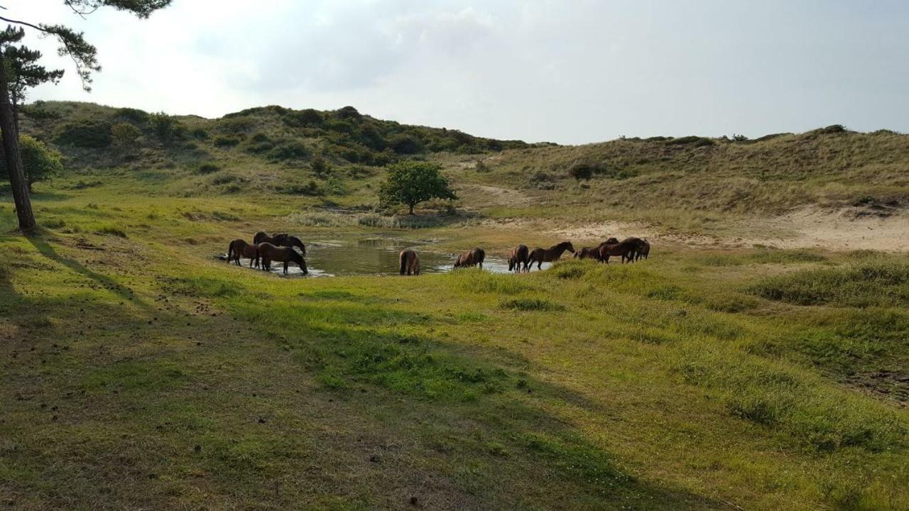 Villa Vrijstaande Blokhut à Egmond-Binnen Extérieur photo